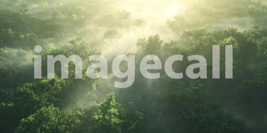 Enveloped in Mist: A Surreal Aerial View of a Fog-Shrouded Forest, Where Trees Emerge Like Islands in a Sea of Vapor