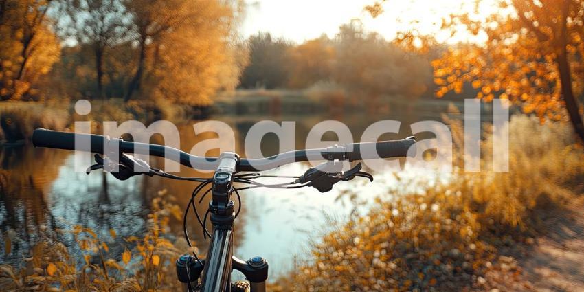 A Sunlit Path Beckons: A Vintage Bicycle Stands Sentinel on a Winding Dirt Road Through a Lush, Flower-Filled Forest, Bathed in Warm Morning Light
