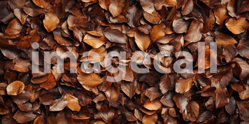 A Tapestry of Autumn: A Bed of Golden Leaves