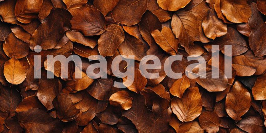 A Tapestry of Autumn: A Bed of Golden Leaves