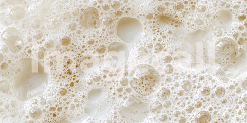 A Foamy Froth: A Close-Up of Bubbles