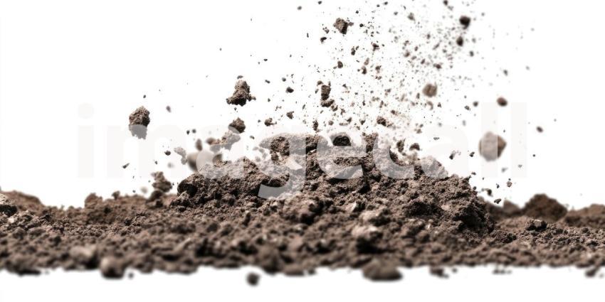 Dust and Grit: Off-Road Action