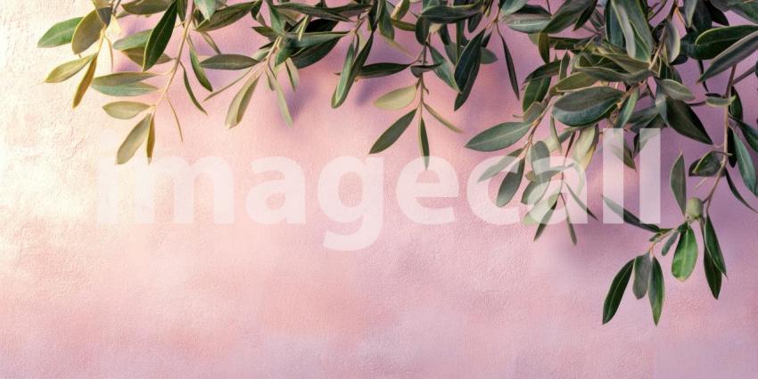 Serene Olive Branches Frame a Textured Canvas, Evoking Tranquility.