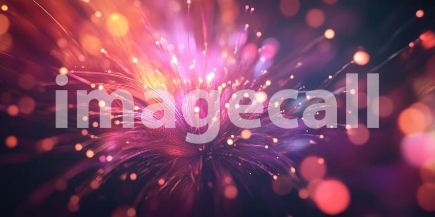 Network of Illuminated Fibers, a Digital Universe of Connectivity.