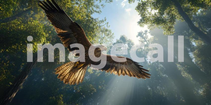 Silhouette of Solitude: A Hawk Perches on a Branch as the Sun Sets Over a Misty Forest