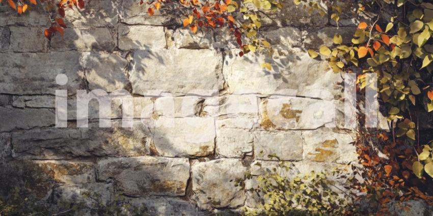 Stone and Vine: A tapestry of weathered stones, interwoven with vibrant greenery, creating a harmonious blend of natural textures and colors.