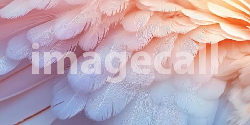Soft Feather Texture: Pastel Hues and Delicate Plumes, a Gentle Touch of Light and Ethereal Grace.