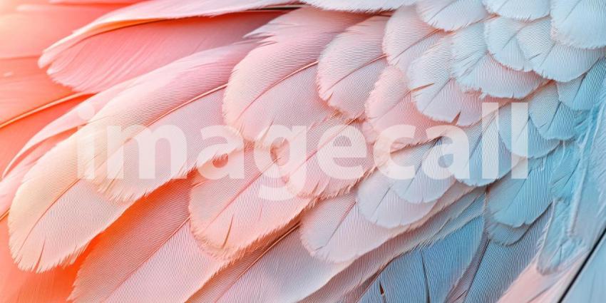 Soft Feather Texture: Pastel Hues and Delicate Plumes, a Gentle Touch of Light and Ethereal Grace.