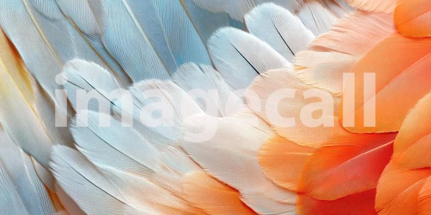 Soft Feather Texture: Pastel Hues and Delicate Plumes, a Gentle Touch of Light and Ethereal Grace.