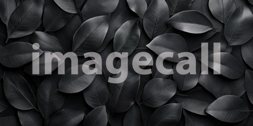 Monochrome Leaf Mosaic: Dark Leaves Overlap in a Textured Pattern, Shadows and Light Create Depth in a Somber Stillness.