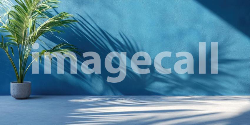 Tropical Palm Shadow: Plant in Pot Against Blue Wall, Sunlight Creates Striking Shadows, a Minimalist Interior with Natural Light.