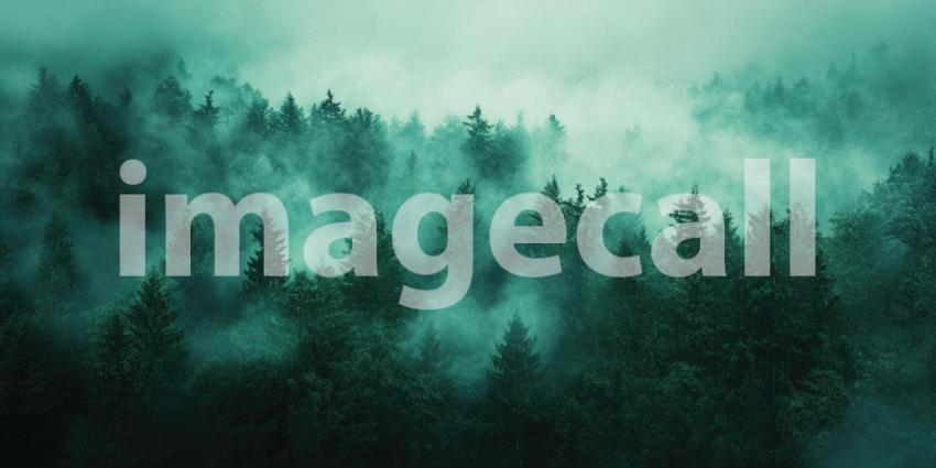 Deep Emerald Green Forest with Misty Fog Layers, Enchanted Nature Scene, Dreamy Woodland Atmosphere, Serene Wilderness