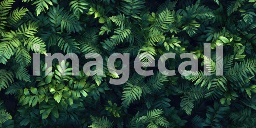 Deep Forest Green with Natural Lighting, Lush Woodland Atmosphere, Vibrant Greenery, Tranquil Nature Background, Serene Landscape