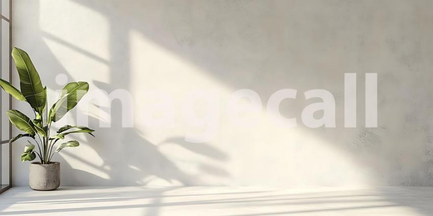 Aged White Surface with Cracks and Peeling Layers Tells a Story of Time and Texture