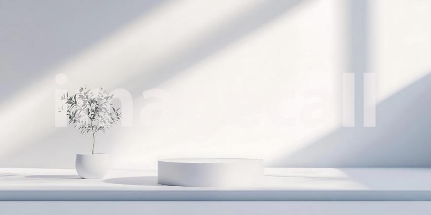 Sunlight Creates Abstract Patterns on a Minimalist White Stage with a Small Plant