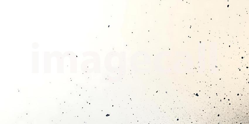 Scattered Black Particles Dance Lightly Across a Clean White Surface Creating a Subtle Texture