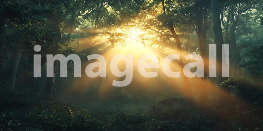 Golden Sunlight Rays Through Rainy Forest: A Mystical Nature Bac