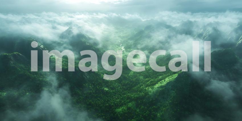 Aerial View Rainforest Cloudscape: Lush Green Canopy Fog Mist