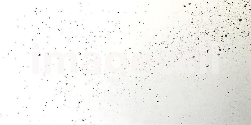 Scattered Black Particles Dance Lightly Across a Clean White Surface Creating a Subtle Texture