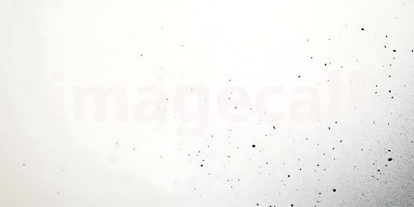 Scattered Black Particles Dance Lightly Across a Clean White Surface Creating a Subtle Texture