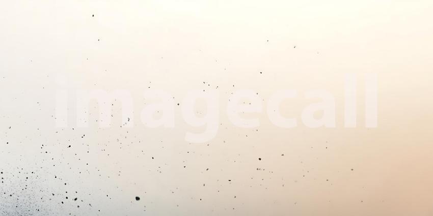 Scattered Black Particles Dance Lightly Across a Clean White Surface Creating a Subtle Texture