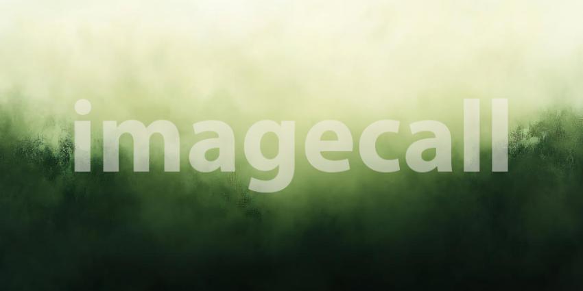 Misty Green Forest Background