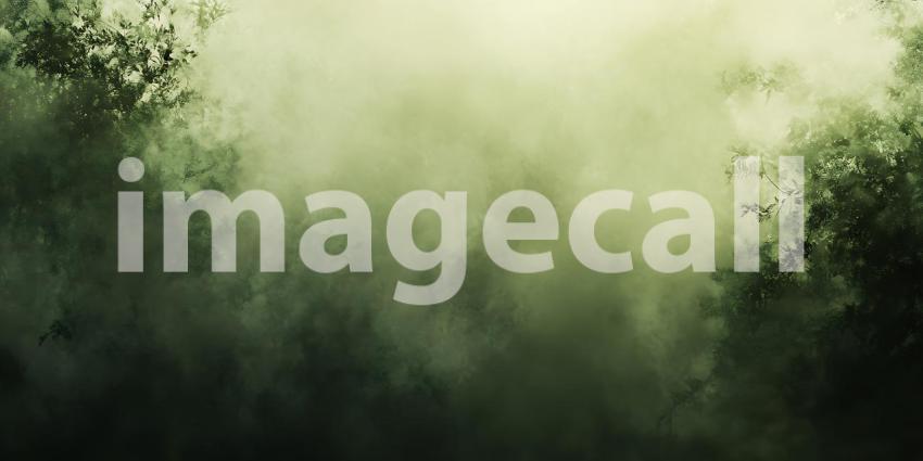 Misty Forest Green Nature Background