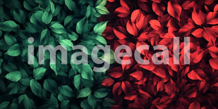 Vibrant Green and Red Leaf Texture A Stunning Nature Photography