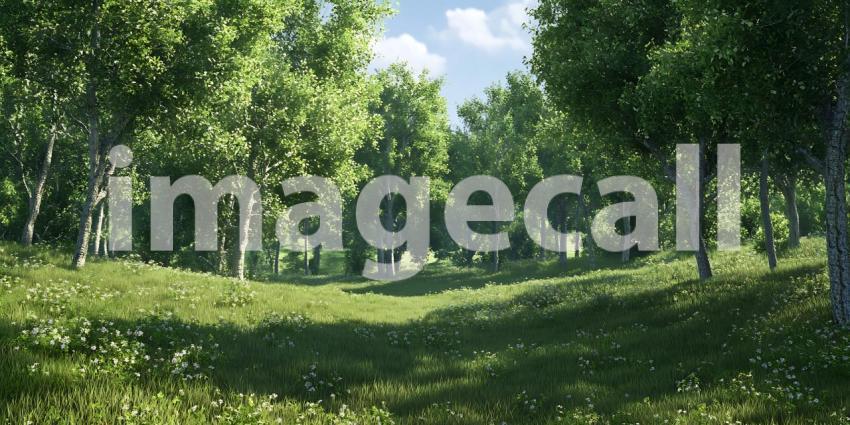 Lush Green Forest Peaceful Nature Scene for Backgrounds