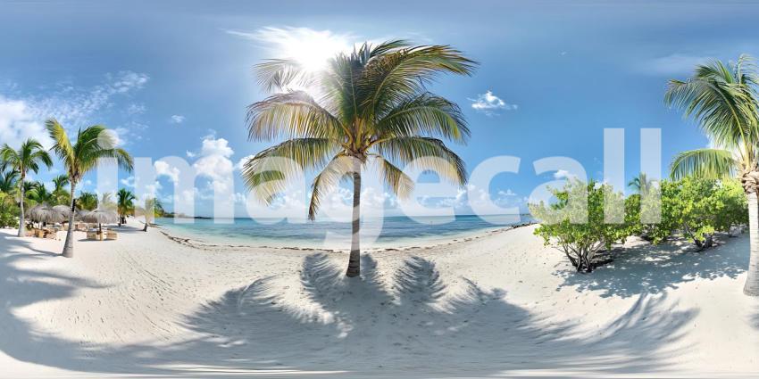 Tropical Beach Paradise Panoramic View of Palm Trees and White S