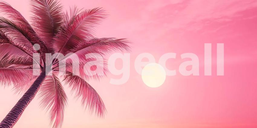 Pink Paradise Palm Tree Sunset Scene