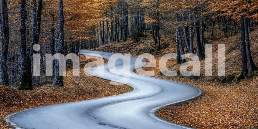 Autumn Road Winding Path Through Colorful Woods