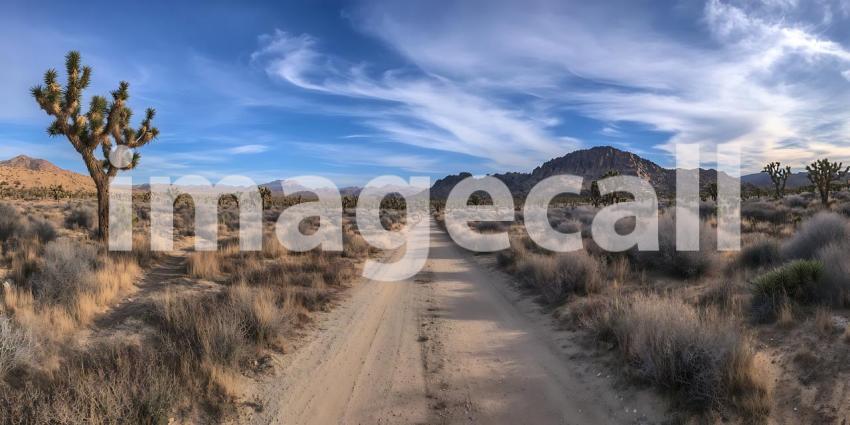 Desert Landscape Panoramic View of Mojave Desert Trail