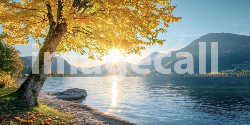 Golden Autumn Lake Scenic Landscape Photography