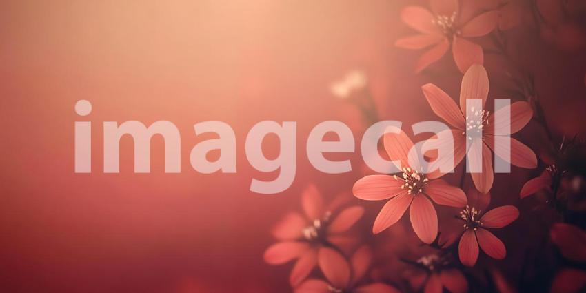 Red Floral Background Soft Focus Blossom Photography