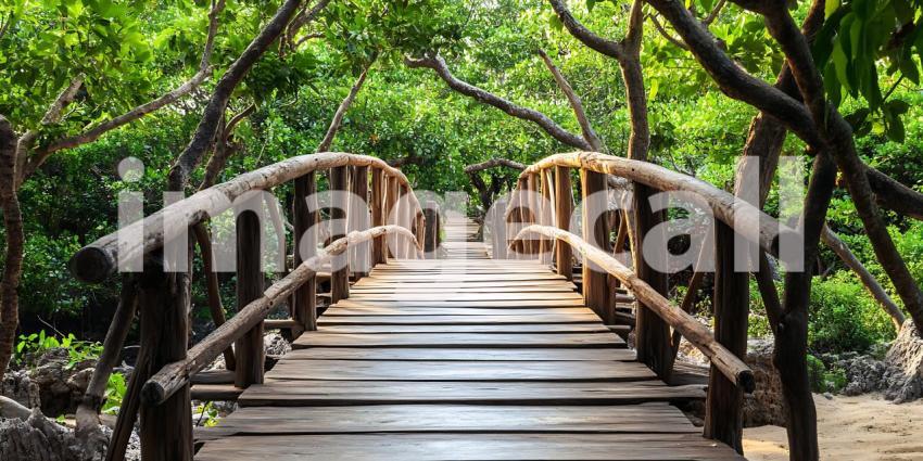 Wooden Bridge in Lush Rainforest Serene Nature Pathway