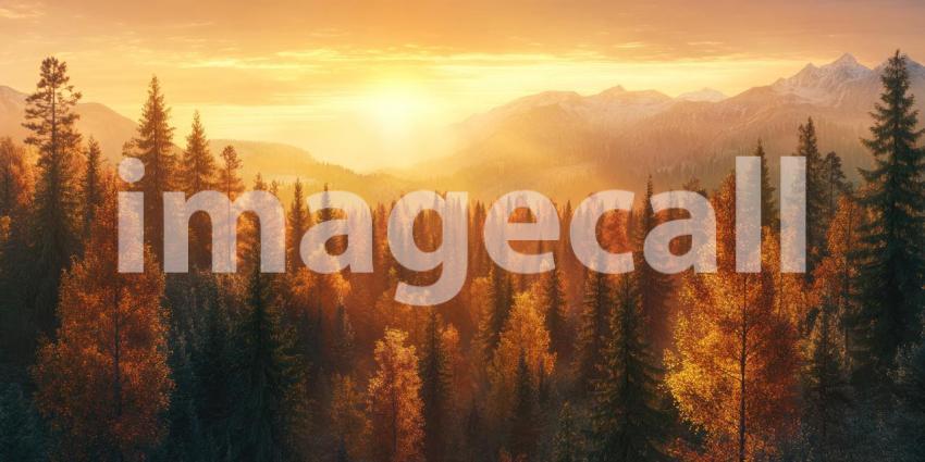 A Golden Hour Panorama, Nature's Canvas Painted in Autumn Hues