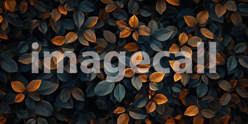 Autumn Embrace: Vibrant red leaves bask in the warm glow of the setting sun, creating a breathtaking autumnal scene