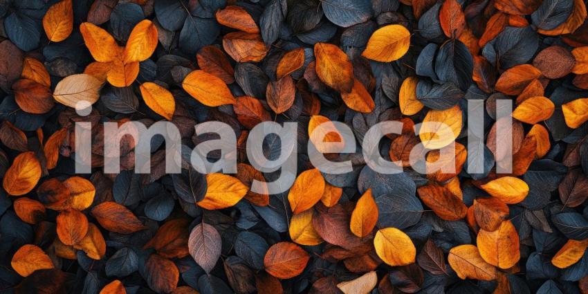 Autumn Embrace: Vibrant red leaves bask in the warm glow of the setting sun, creating a breathtaking autumnal scene