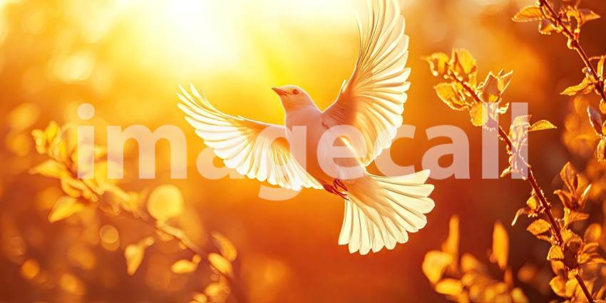 Wings of Freedom: A white dove soars through the air, bathed in the warm glow of the setting sun, symbolizing hope and liberation