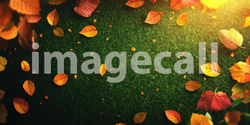 Autumns Embrace: A vibrant tapestry of fallen leaves, in shades of orange, red, and gold, creates a picturesque frame around a lush green lawn