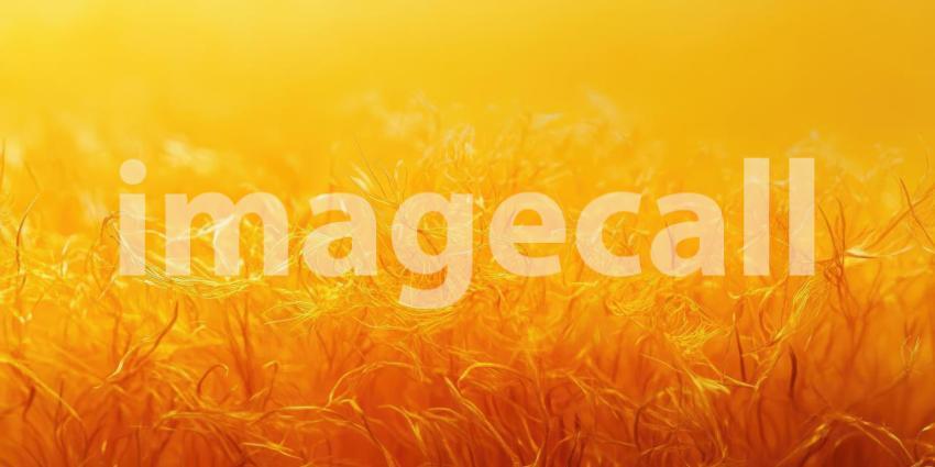 Golden Hour Abstract: A Textured Canvas of Warmth and Light