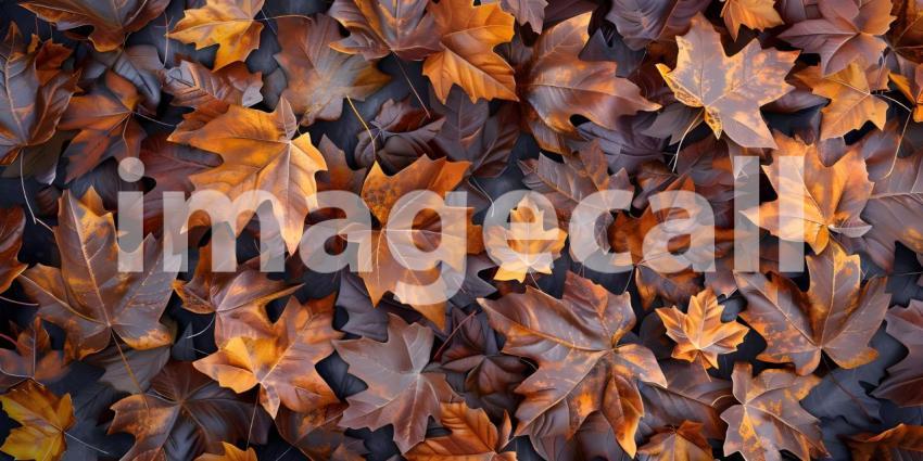 Autumnal Tapestry: A Bed of Vibrant Red and Orange Leaves