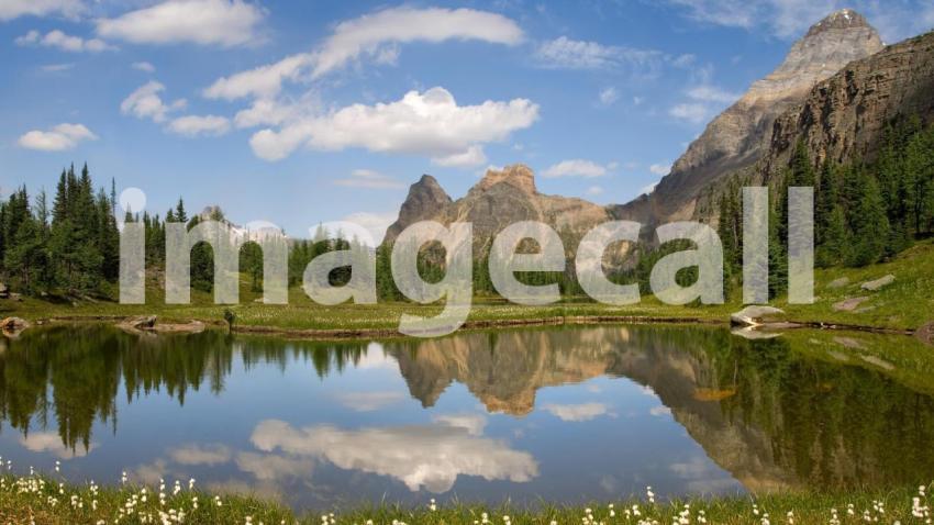 Moor Lakes, Yoho National Park, B.C.