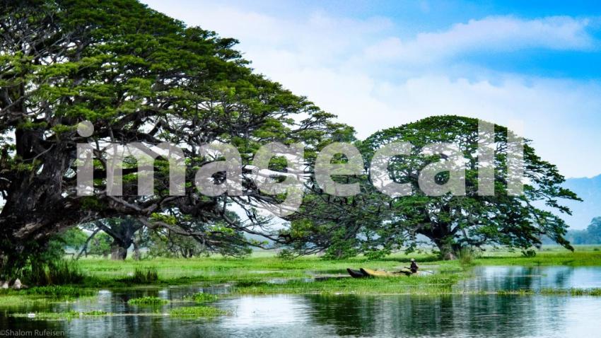 A local srilankan fisherman early morning in yala swamps sri lanka t20 9Jo2Kv