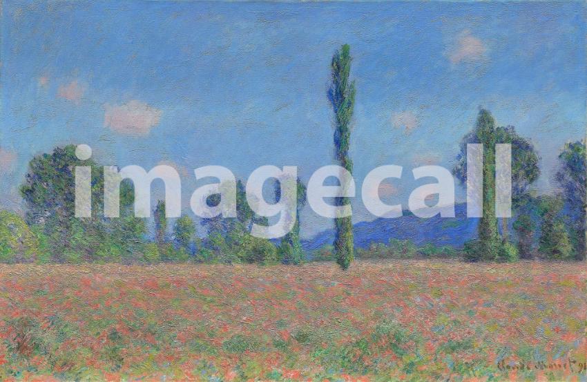 Poppy Field (Giverny) (1890)