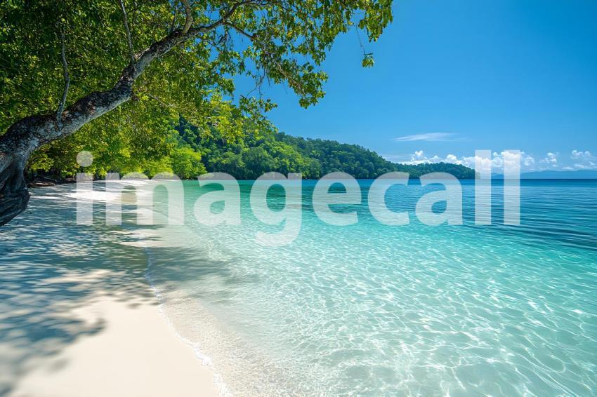 021 professional summer backdrop 325 backdrops b25156