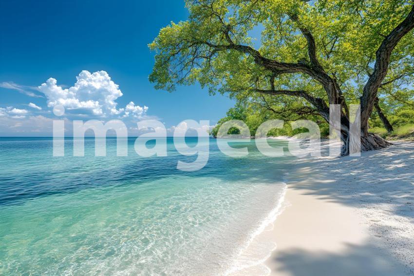 177 professional summer backdrop 325 backdrops b25156