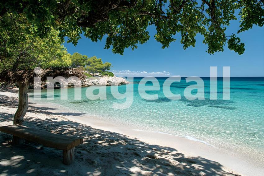 247 professional summer backdrop 325 backdrops b25156