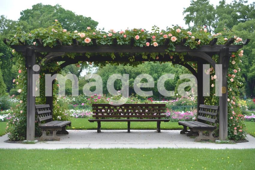 Abc1323 Victorian Botanical Garden A grand arbor covered in cli 14edf5e4 fb0c 4c38 8c96 d1e6d676a245 part3